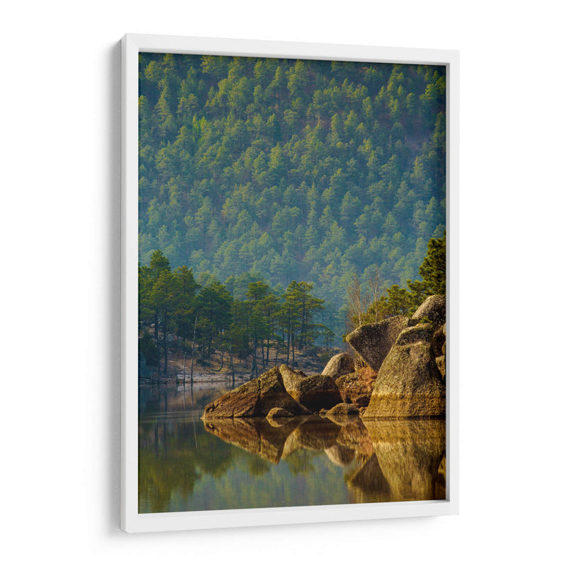 Bosque reflejado en lago - Enrique Estrada | Cuadro decorativo de Canvas Lab