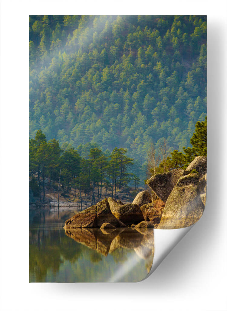 Bosque reflejado en lago - Enrique Estrada | Cuadro decorativo de Canvas Lab