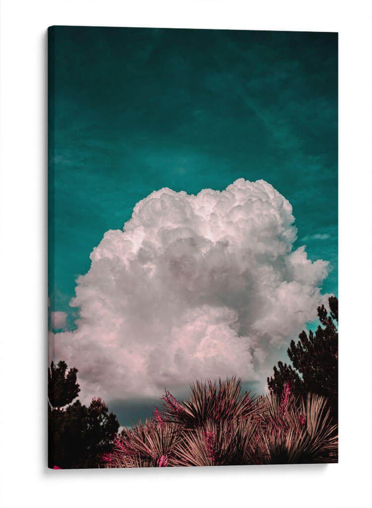 Nube y árboles - Enrique Estrada | Cuadro decorativo de Canvas Lab