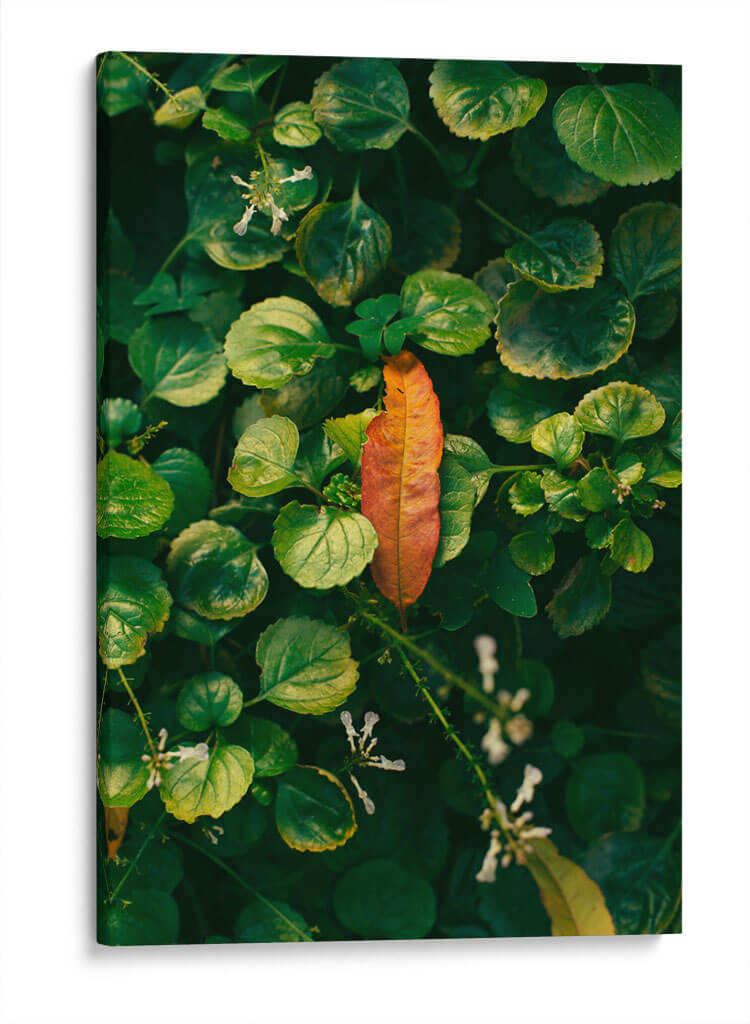Inicio del Otoño - Enrique Estrada | Cuadro decorativo de Canvas Lab
