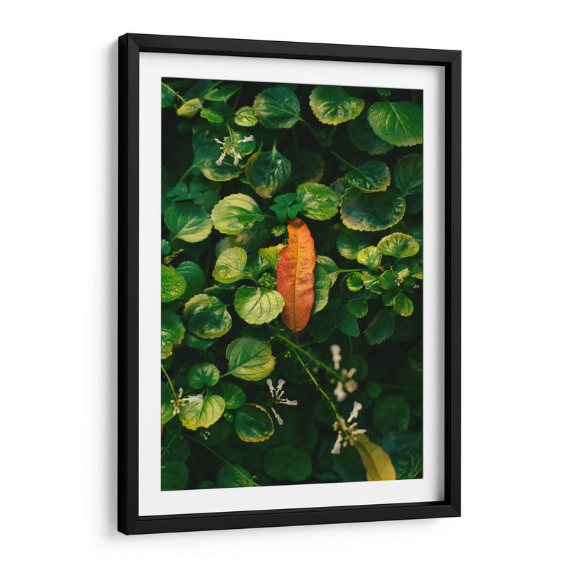 Inicio del Otoño - Enrique Estrada | Cuadro decorativo de Canvas Lab