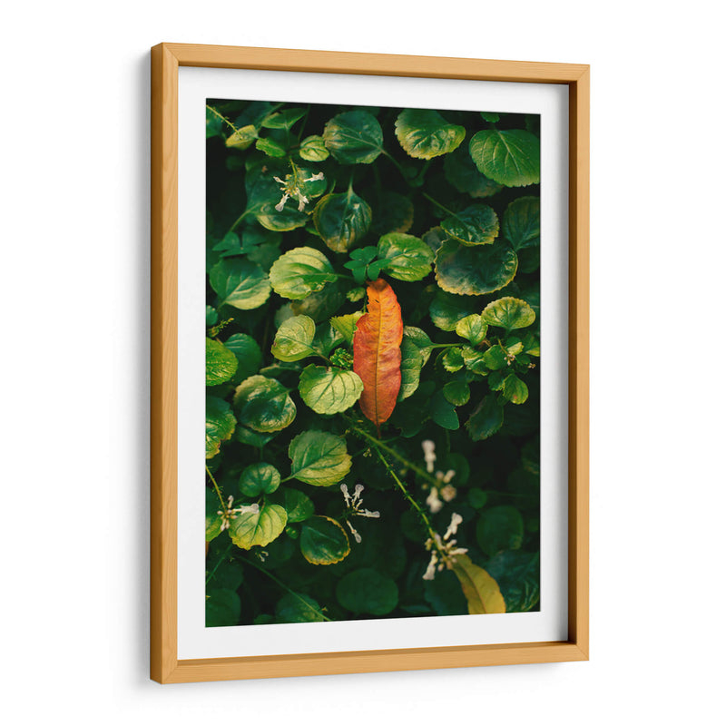 Inicio del Otoño - Enrique Estrada | Cuadro decorativo de Canvas Lab