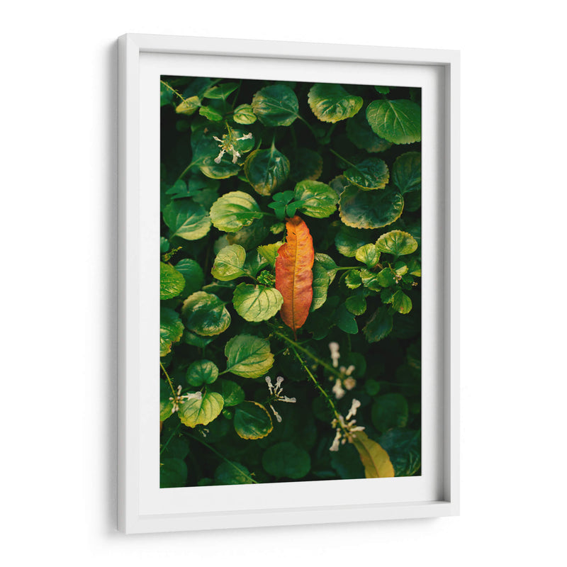 Inicio del Otoño - Enrique Estrada | Cuadro decorativo de Canvas Lab