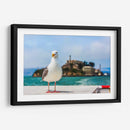 Gaviota frente a la isla de Alcatraz - Guillermo Aparicio | Cuadro decorativo de Canvas Lab