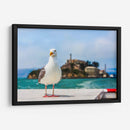Gaviota frente a la isla de Alcatraz - Guillermo Aparicio | Cuadro decorativo de Canvas Lab