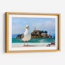 Gaviota frente a la isla de Alcatraz - Guillermo Aparicio | Cuadro decorativo de Canvas Lab
