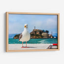 Gaviota frente a la isla de Alcatraz - Guillermo Aparicio | Cuadro decorativo de Canvas Lab