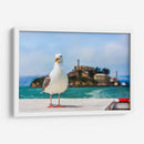 Gaviota frente a la isla de Alcatraz - Guillermo Aparicio | Cuadro decorativo de Canvas Lab