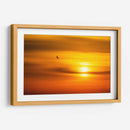 Gaviota al atardecer - Guillermo Aparicio | Cuadro decorativo de Canvas Lab