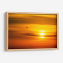 Gaviota al atardecer - Guillermo Aparicio | Cuadro decorativo de Canvas Lab