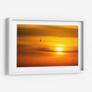 Gaviota al atardecer - Guillermo Aparicio | Cuadro decorativo de Canvas Lab