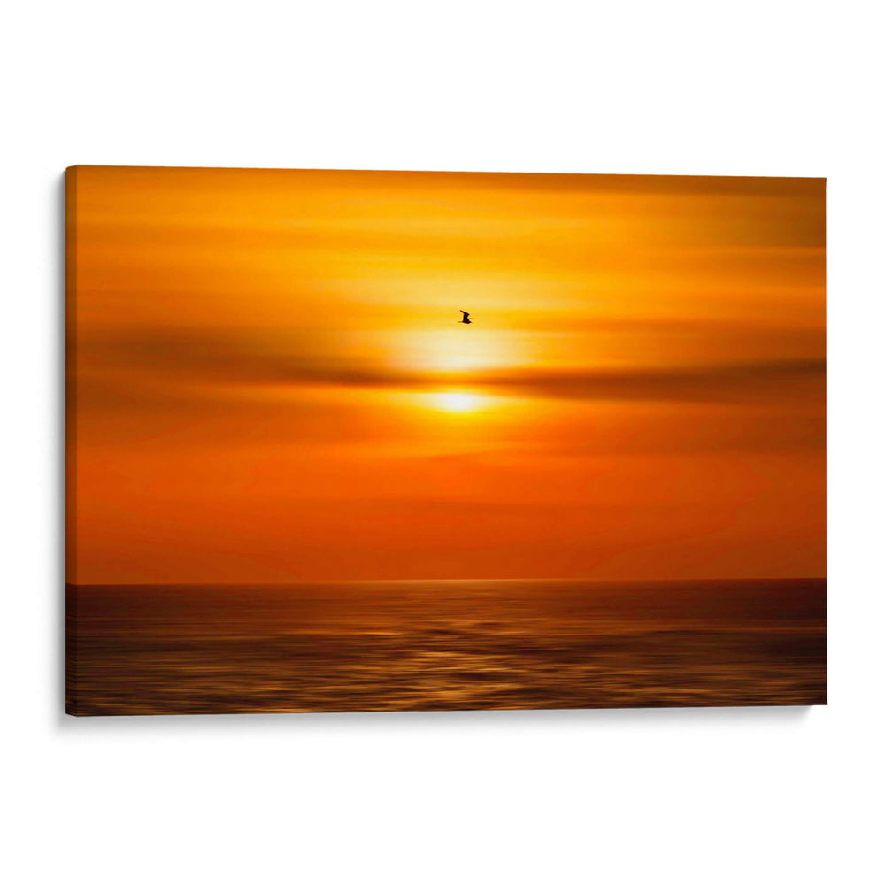 Gaviota frente al sol - Guillermo Aparicio | Cuadro decorativo de Canvas Lab