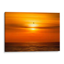 Gaviota frente al sol - Guillermo Aparicio | Cuadro decorativo de Canvas Lab