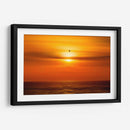 Gaviota frente al sol - Guillermo Aparicio | Cuadro decorativo de Canvas Lab