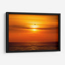 Gaviota frente al sol - Guillermo Aparicio | Cuadro decorativo de Canvas Lab