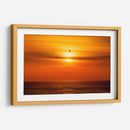 Gaviota frente al sol - Guillermo Aparicio | Cuadro decorativo de Canvas Lab