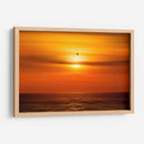 Gaviota frente al sol - Guillermo Aparicio | Cuadro decorativo de Canvas Lab