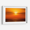 Gaviota frente al sol - Guillermo Aparicio | Cuadro decorativo de Canvas Lab