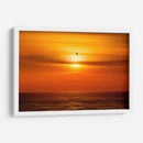 Gaviota frente al sol - Guillermo Aparicio | Cuadro decorativo de Canvas Lab