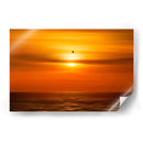 Gaviota frente al sol - Guillermo Aparicio | Cuadro decorativo de Canvas Lab