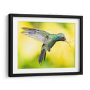 COLIBRÍ 2 - Ariadne Contreras | Cuadro decorativo de Canvas Lab