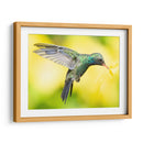 COLIBRÍ 2 - Ariadne Contreras | Cuadro decorativo de Canvas Lab