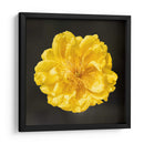 FLOR CARNAVAL - Ariadne Contreras | Cuadro decorativo de Canvas Lab