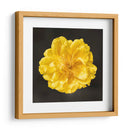 FLOR CARNAVAL - Ariadne Contreras | Cuadro decorativo de Canvas Lab