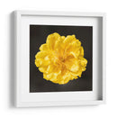 FLOR CARNAVAL - Ariadne Contreras | Cuadro decorativo de Canvas Lab