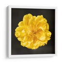 FLOR CARNAVAL - Ariadne Contreras | Cuadro decorativo de Canvas Lab