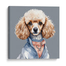 Perro Poodle hembra a la moda - Mavel Per | Cuadro decorativo de Canvas Lab