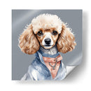 Perro Poodle hembra a la moda - Mavel Per | Cuadro decorativo de Canvas Lab