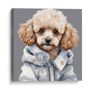 Perro Poodle macho a la moda - Mavel Per | Cuadro decorativo de Canvas Lab