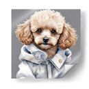 Perro Poodle macho a la moda - Mavel Per | Cuadro decorativo de Canvas Lab