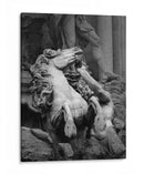 FUENTE DE TREVI 2 - Ariadne Contreras | Cuadro decorativo de Canvas Lab