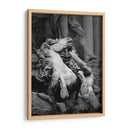 FUENTE DE TREVI 2 - Ariadne Contreras | Cuadro decorativo de Canvas Lab