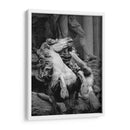 FUENTE DE TREVI 2 - Ariadne Contreras | Cuadro decorativo de Canvas Lab