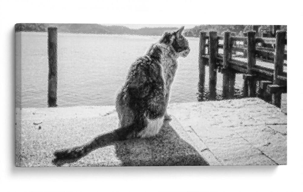 GATO EN EL MUELLE - Ariadne Contreras | Cuadro decorativo de Canvas Lab