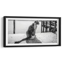 GATO EN EL MUELLE - Ariadne Contreras | Cuadro decorativo de Canvas Lab