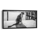 GATO EN EL MUELLE - Ariadne Contreras | Cuadro decorativo de Canvas Lab