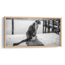GATO EN EL MUELLE - Ariadne Contreras | Cuadro decorativo de Canvas Lab