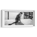 GATO EN EL MUELLE - Ariadne Contreras | Cuadro decorativo de Canvas Lab