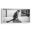 GATO EN EL MUELLE - Ariadne Contreras | Cuadro decorativo de Canvas Lab