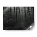 The Forest - Pale Blood | Cuadro decorativo de Canvas Lab