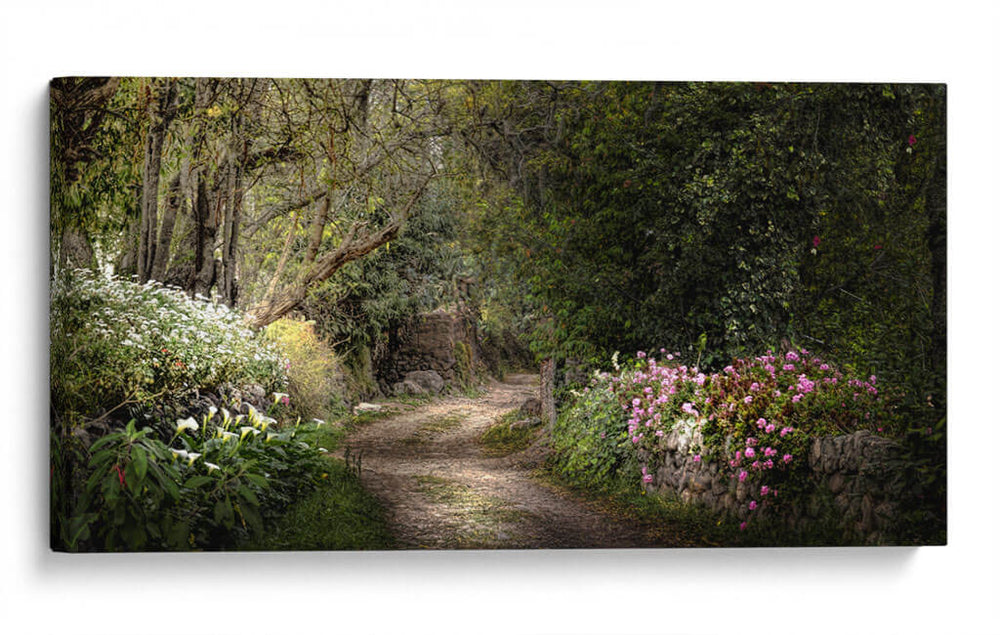 JARDÍN SECRETO - Ariadne Contreras | Cuadro decorativo de Canvas Lab
