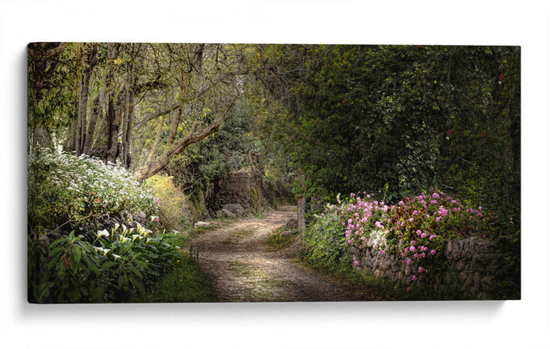 JARDÍN SECRETO - Ariadne Contreras | Cuadro decorativo de Canvas Lab