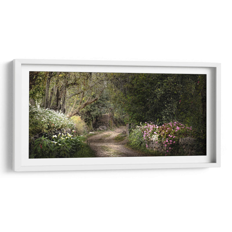 JARDÍN SECRETO - Ariadne Contreras | Cuadro decorativo de Canvas Lab