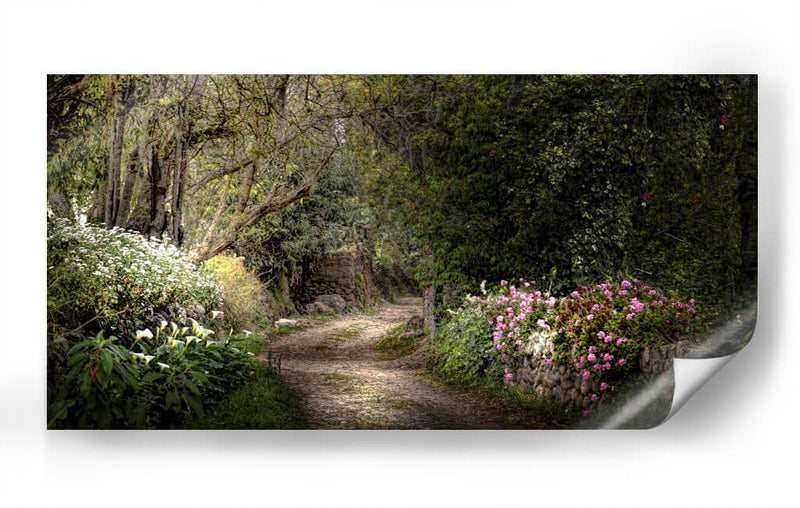 JARDÍN SECRETO - Ariadne Contreras | Cuadro decorativo de Canvas Lab