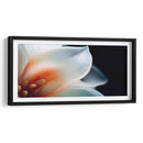 Pétalos transparentes - Juliana Estrada | Cuadro decorativo de Canvas Lab