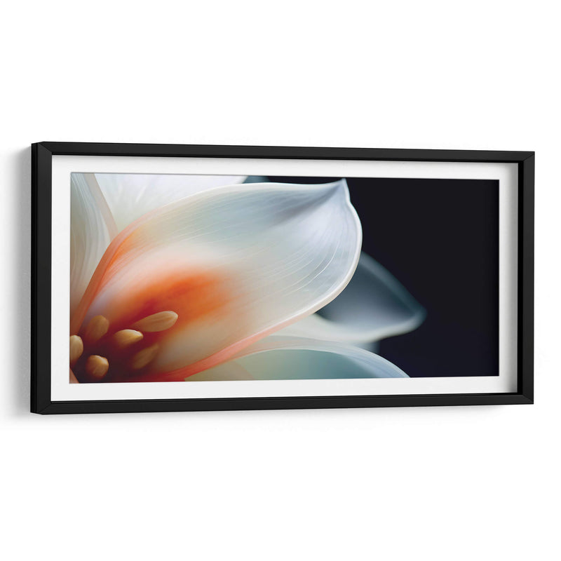 Pétalos transparentes - Juliana Estrada | Cuadro decorativo de Canvas Lab